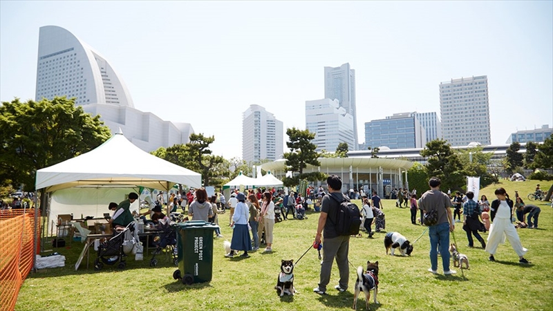 横浜で「ドッグウィーク2019 春」が開催中！