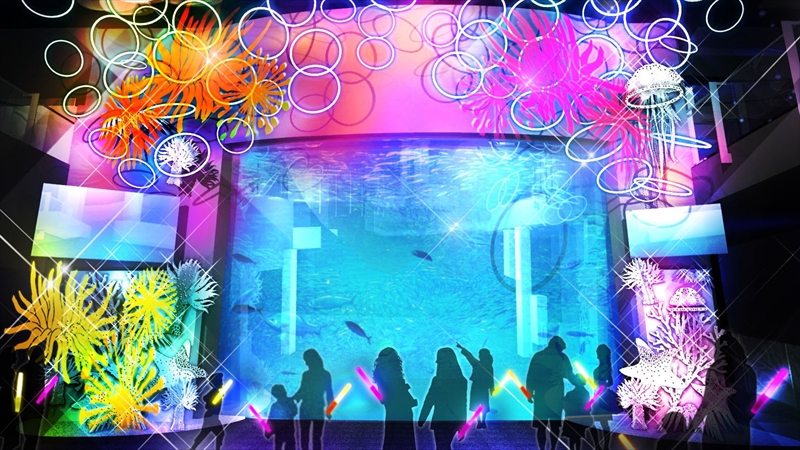 新江ノ島水族館の「ヒカリノエノスイ」は昼夜で異なる光の演出が楽しめる!
