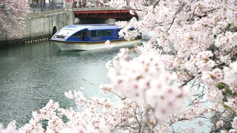 桜と横浜港のパノラマが楽しめる「大岡川桜クルーズ」運航！　9日間限定で「夜桜クルーズ」も