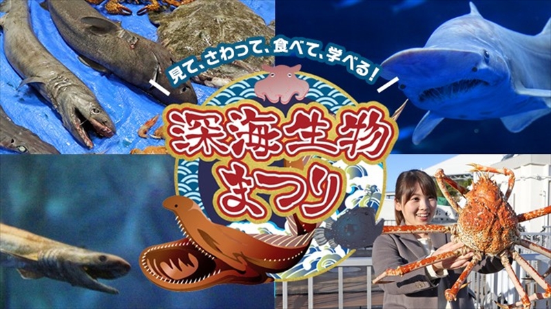 【横浜・八景島シーパラダイス】見て、さわって、食べて、学べる「深海生物まつり」開催！