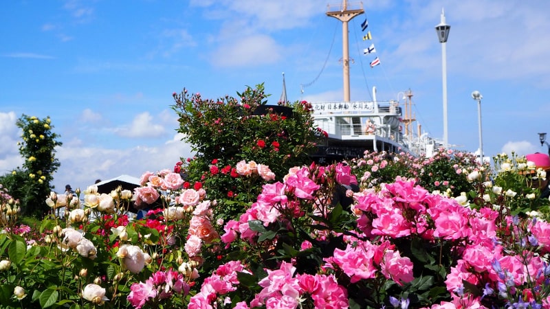 「ガーデンネックレス横浜 2020」開催！　横浜に60万本の花々が咲き誇る