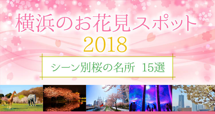 横浜のお花見スポット2018 〜シーン別桜の名所 15選〜