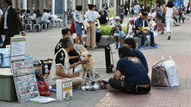 桜木町駅前広場で犬の募金活動をしている団体ってどんな団体？