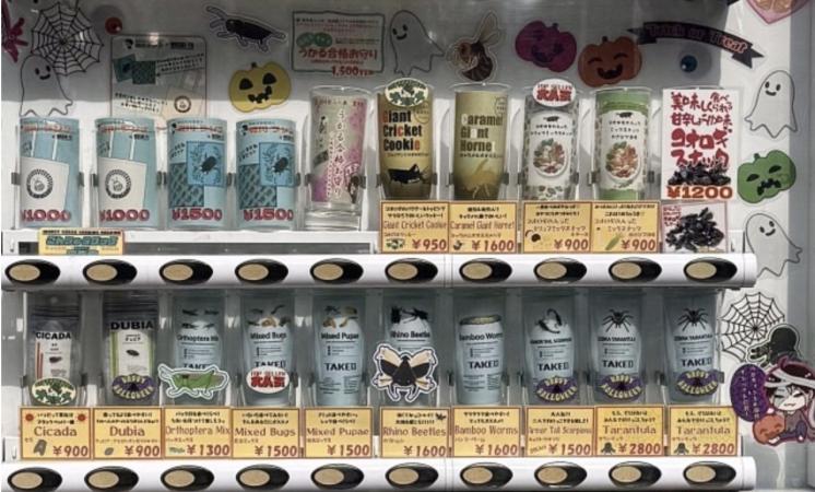 なぜココに?関内セルテの昆虫自販機を調査【前編】