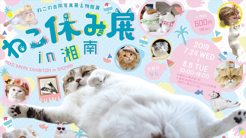 さいか屋 藤沢店で猫の合同写真展＆物販展「ねこ休み展 in 湘南」開催！