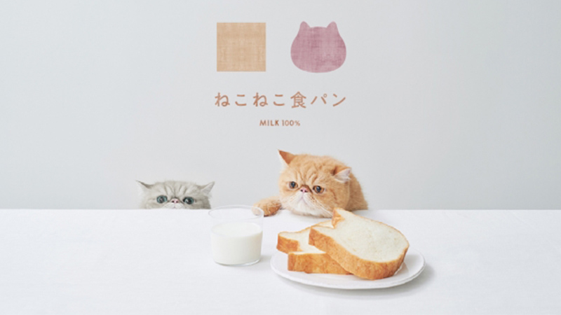 ねこの形の高級食パン専門店「ねこねこ食パン」が神奈川・伊勢原に登場！
