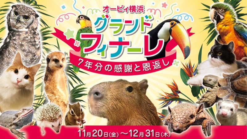 今年いっぱいで閉館となる「オービィ横浜」グランドフィナーレとなるイベントを開催！