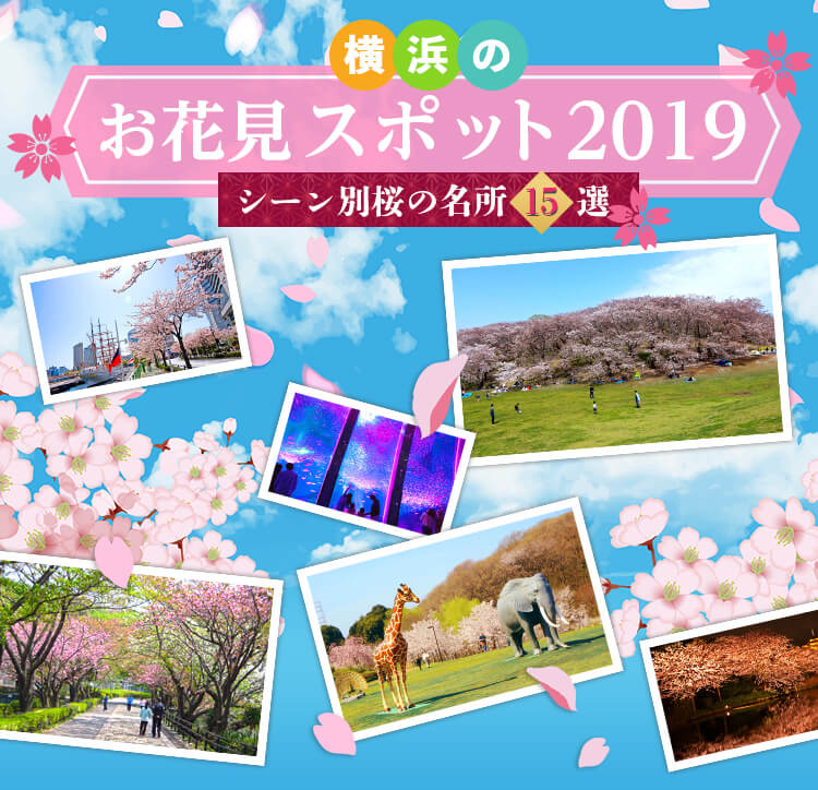 横浜のお花見スポット2019 〜シーン別桜の名所 15選〜