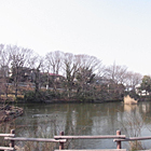 菊名池公園の「菊名池」は超巨大だった？　幻の巨大池の謎を調査！