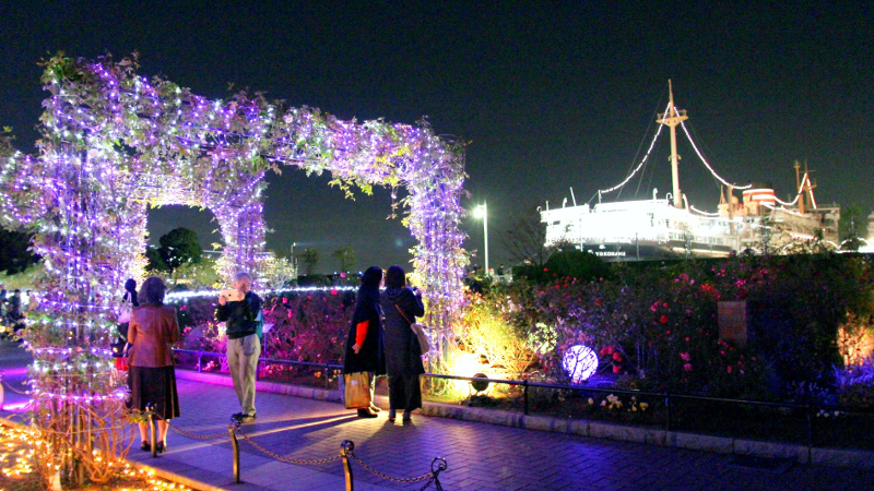 横浜の「山下公園」初のイルミネーション「スノーローズガーデンヨコハマ」をレポート