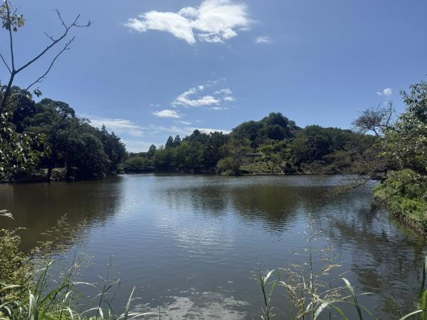 横浜市で最も広い池は?