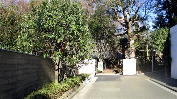 鶴見区の住宅街の一角にある四季折々の植物が完璧に手入れされている「馬場花木園」とは？