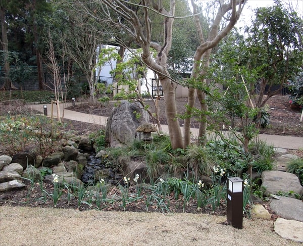 鶴見区の住宅街の一角にある四季折々の植物が完璧に手入れされている「馬場花木園」とは？