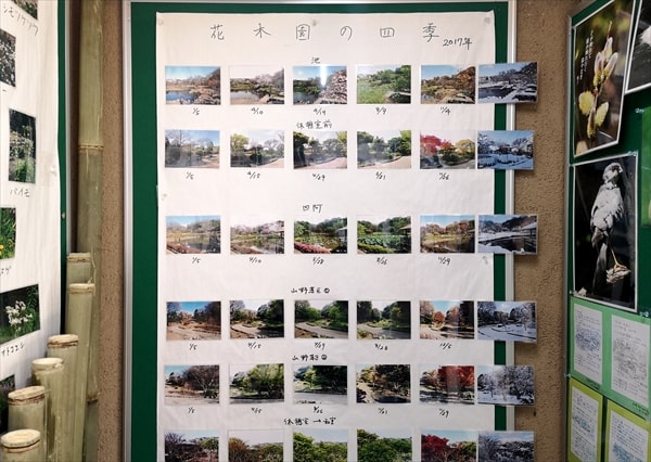 鶴見区の住宅街の一角にある四季折々の植物が完璧に手入れされている「馬場花木園」とは？