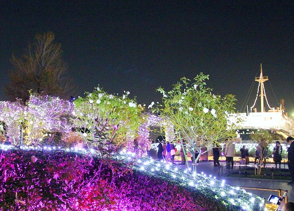 山下公園イルミネーションイベント「スノーローズガーデンヨコハマ」