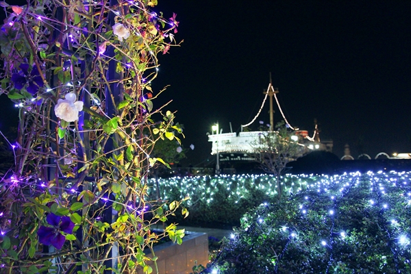 山下公園イルミネーションイベント「スノーローズガーデンヨコハマ」