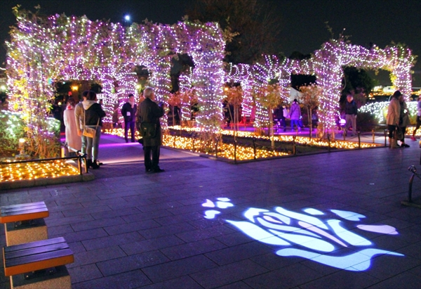 山下公園イルミネーションイベント「スノーローズガーデンヨコハマ」