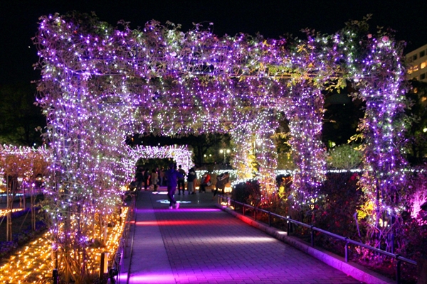 山下公園イルミネーションイベント「スノーローズガーデンヨコハマ」