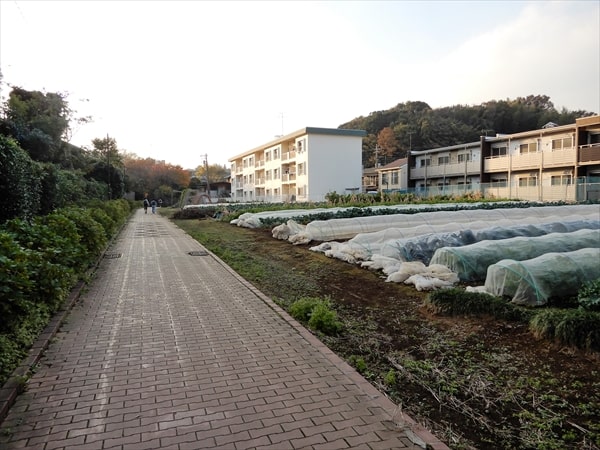 保土ケ谷区にあるハマレンガ製の「峰の赤富士」