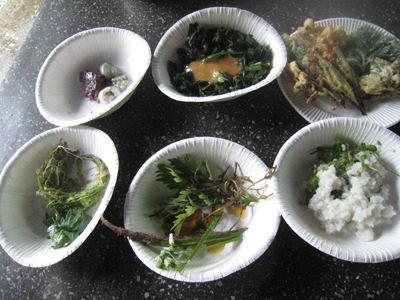 説明: C:\Users\s-yoshida\Desktop\kusa\IMG_0433.jpg