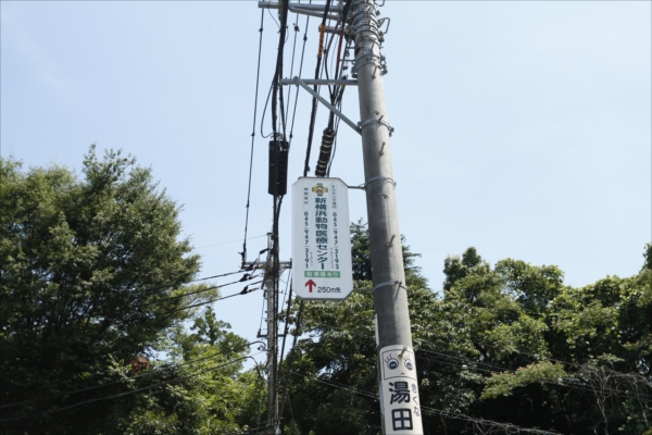 004_shinyoko_article