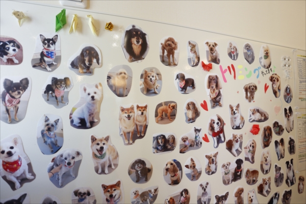 010_shinyoko_article