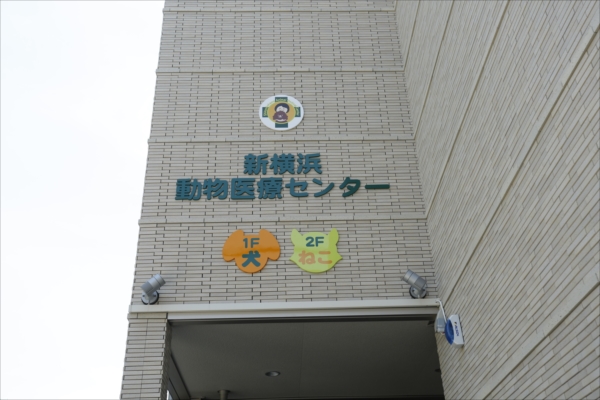 013_shinyoko_article