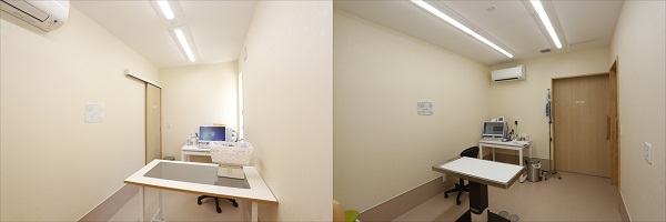 017-2_shinyoko_article