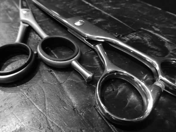 directhouse-article001