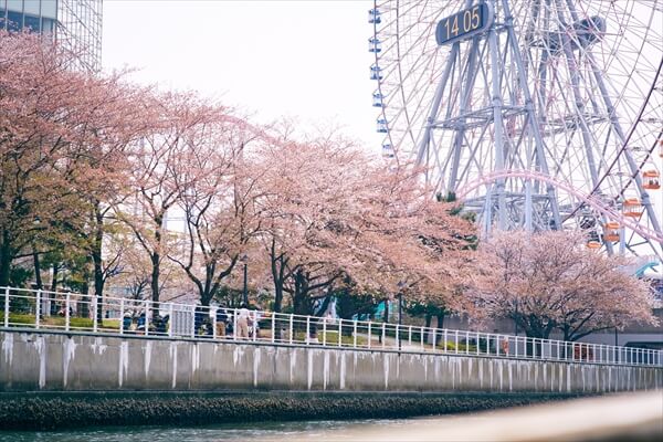 yakatasuzuyoshi-article042