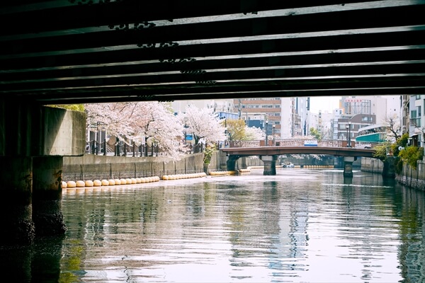 yakatasuzuyoshi-article044