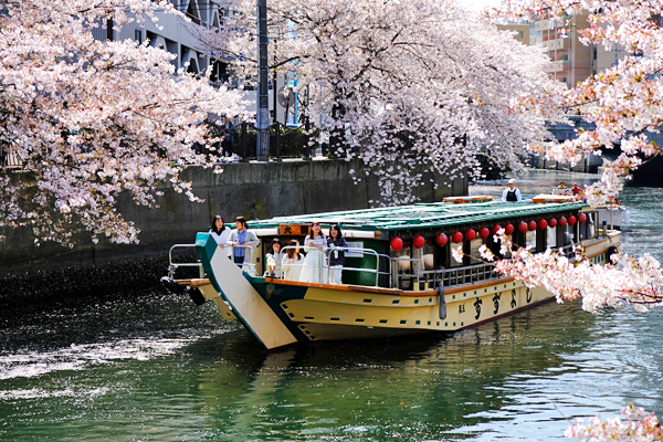 yakatasuzuyoshi-article046