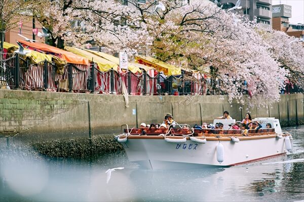 yakatasuzuyoshi-article047