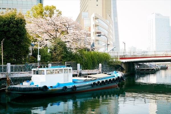 yakatasuzuyoshi-article052