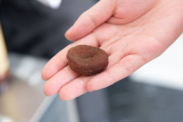 re_rummy__article_005