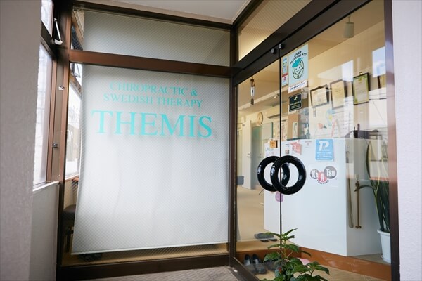 themis19-article008
