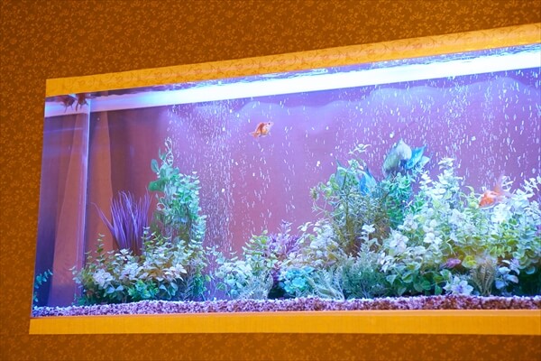 kousoyokuen-article024