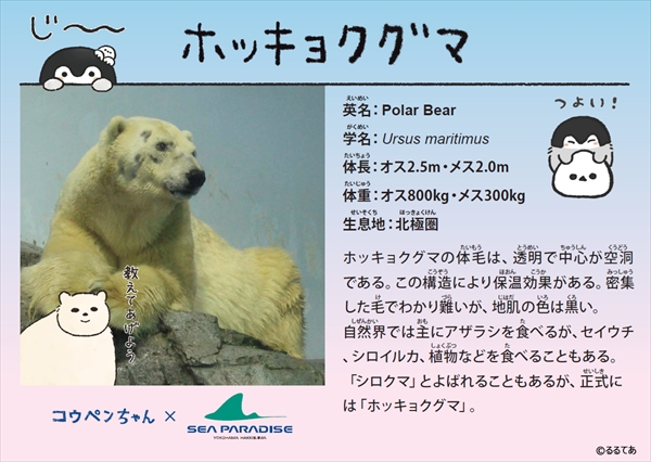 「コウペンちゃんシーパラへ行く!」