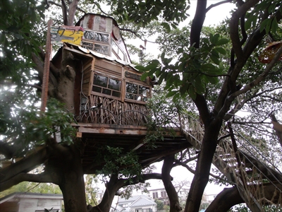 ドラマ シェアハウスの恋人 にも登場するツリーハウスのカフェってどんなところ はまれぽ Com 横浜 川崎 湘南 神奈川県の地域情報サイト