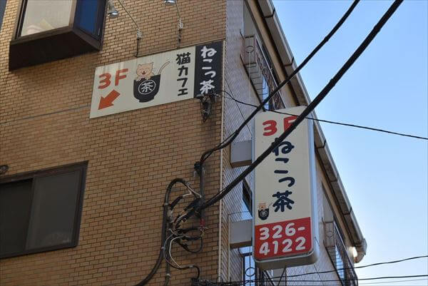 ネットの口コミがエラいことに 猫カフェ ねこっ茶 の実態は はまれぽ Com 横浜 川崎 湘南 神奈川県の地域情報サイト